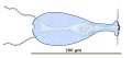 Thumbnail for version as of 21:25, 28 October 2026