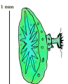 Thumbnail for version as of 21:22, 28 October 2026