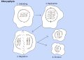 Thumbnail for version as of 16:54, 27 October 2026