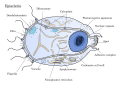 Thumbnail for version as of 18:41, 27 October 2026